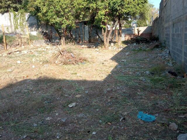 Área para Venta en Guadalupe - 4